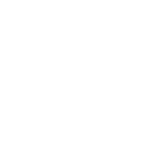 barnesandnoble icon